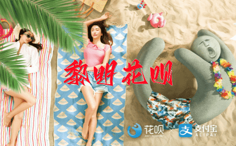 辞不达意花呗